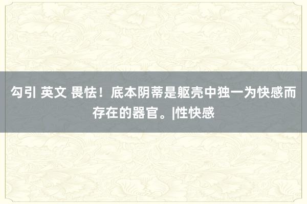 勾引 英文 畏怯！底本阴蒂是躯壳中独一为快感而存在的器官。|性快感